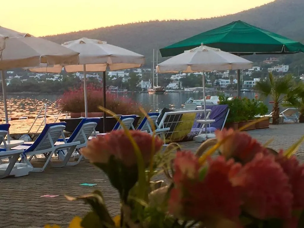 Akyali Hotel Güvercinlik 4*,